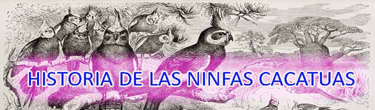 historia de las ninfas aves